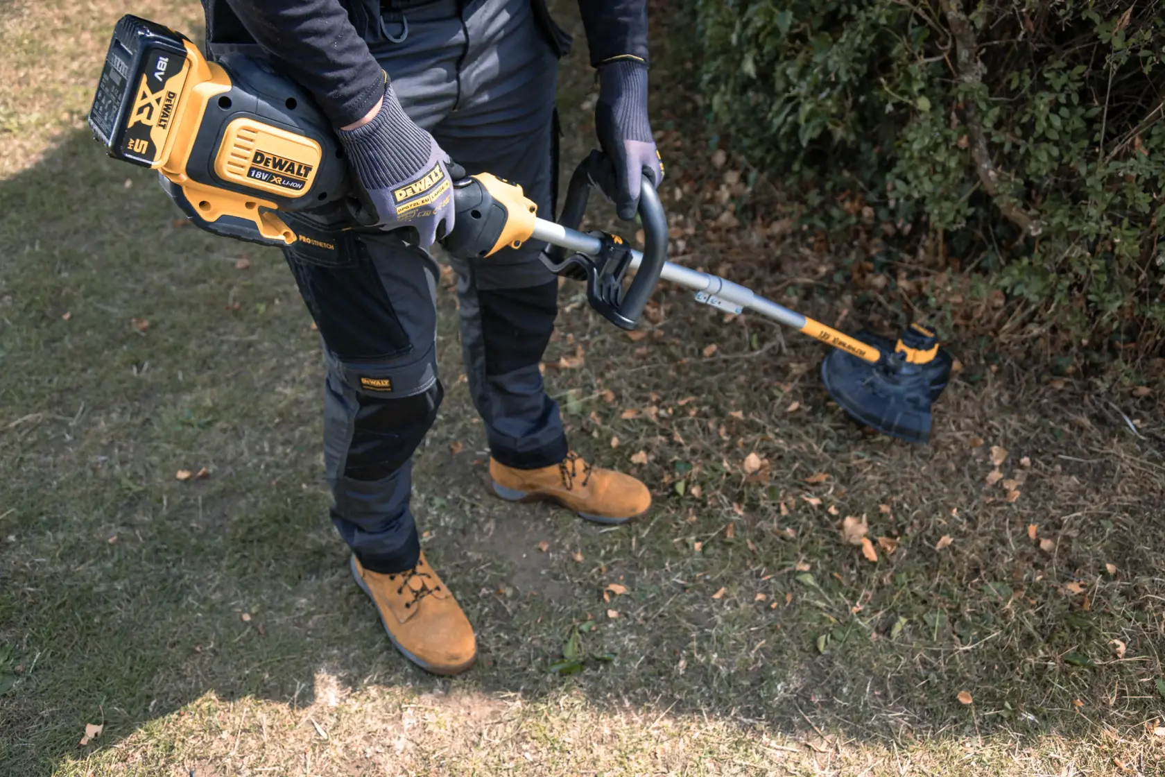Person using a DEWALT cordless grass trimmer outdoors, trimming lawn edges near a hedge.