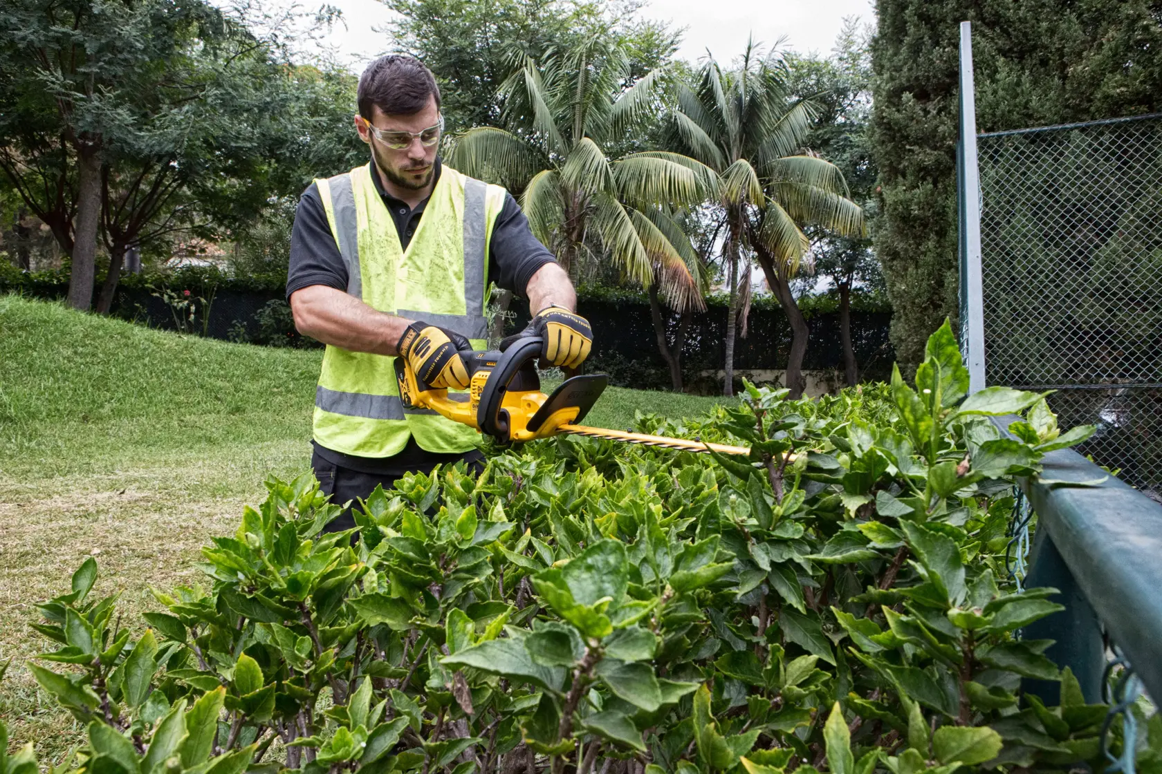 18V XR® 55cm Hedge Trimmer (19mm Blade Gap) - 1 x 5Ah