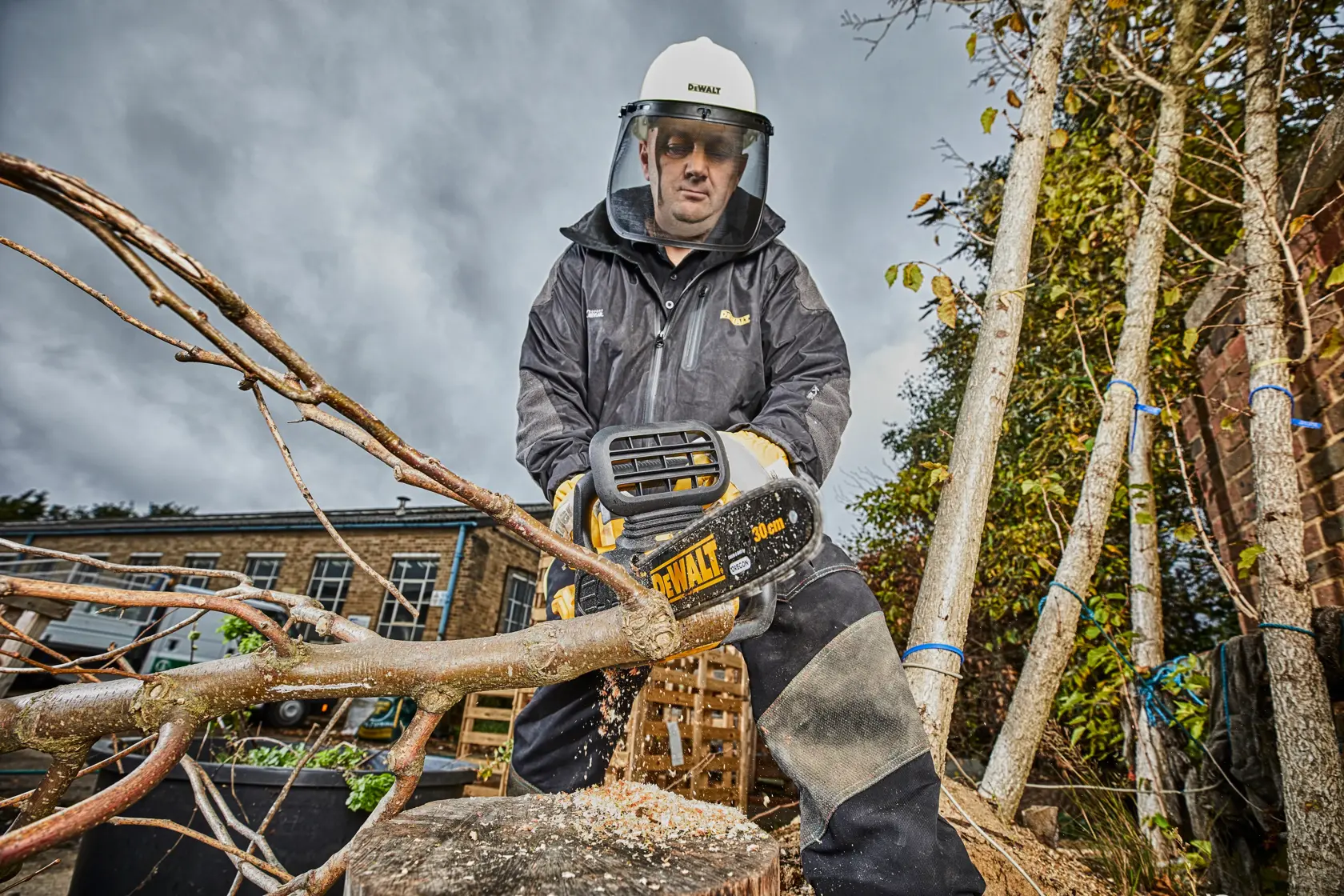18V XR® Brushless 30cm Compact Chainsaw - 1 x 5Ah