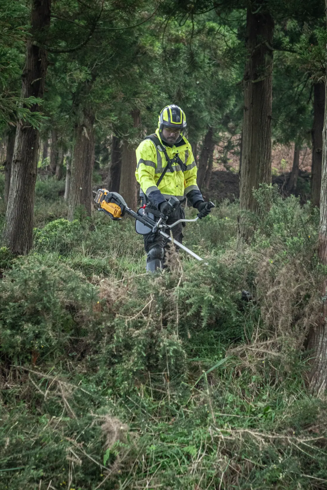 Arbeiter nutzt DEWALT DCMBC823N, DCMBC823N-XJ Freischneider im Wald, mit Schutzkleidung.