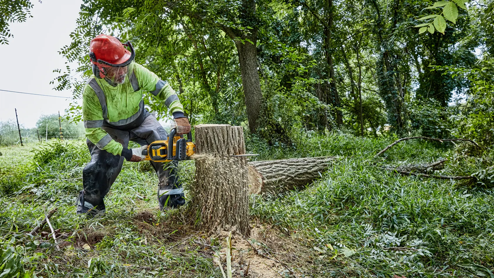 54V XR FLEXVOLT® 45CM High Powered Chainsaw - 1 X 9Ah