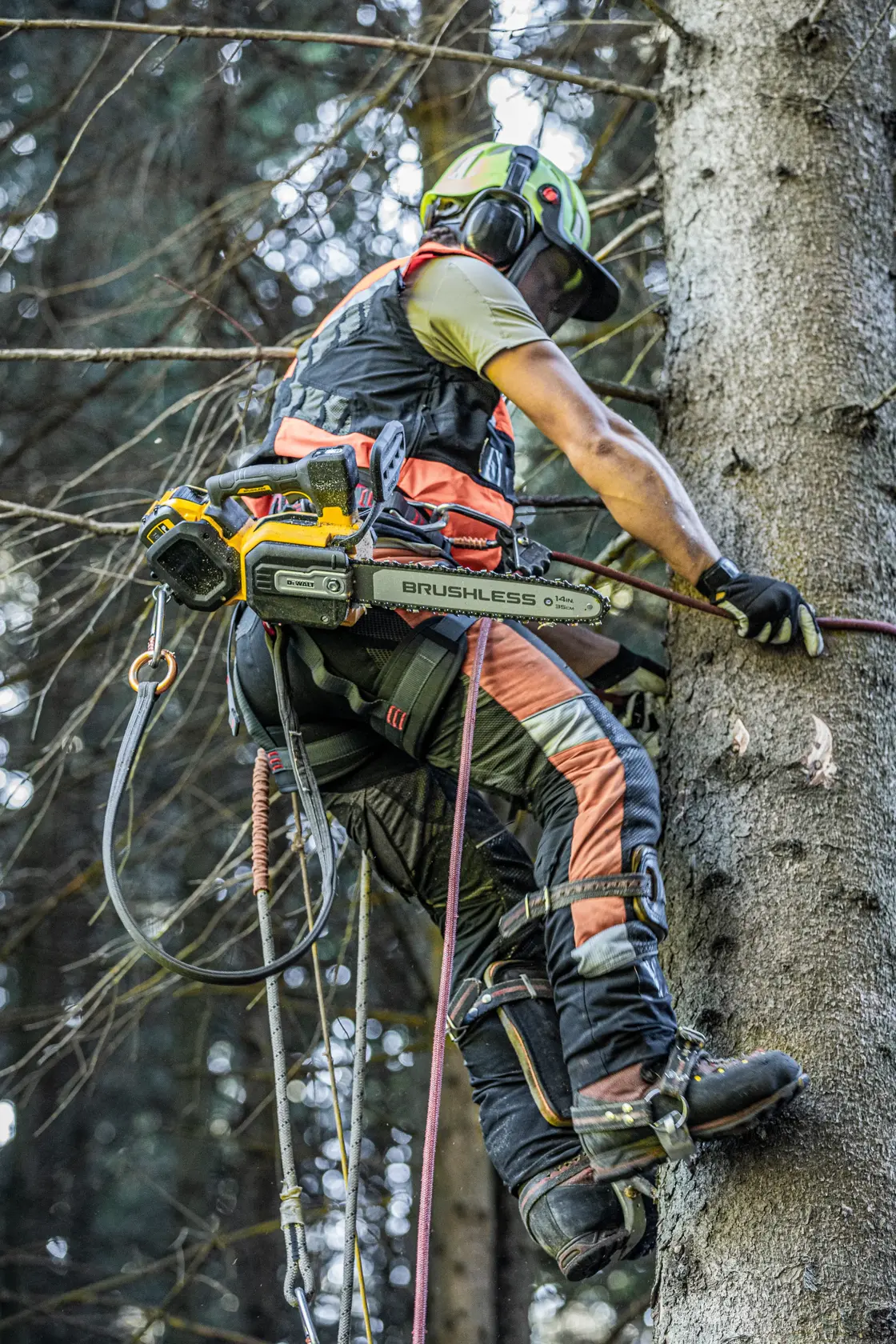 54v XR FLEXVOLT® 35cm Top Handle Chainsaw (Tool Only)