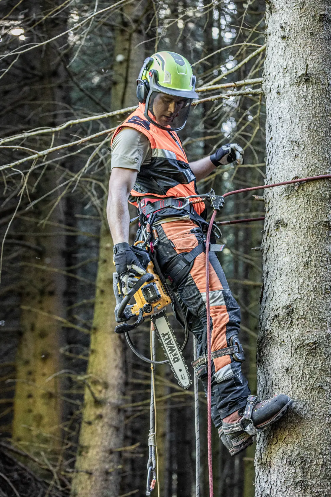 54V XR FLEXVOLT® 35cm Top Handle Chainsaw - 1 x 9Ah