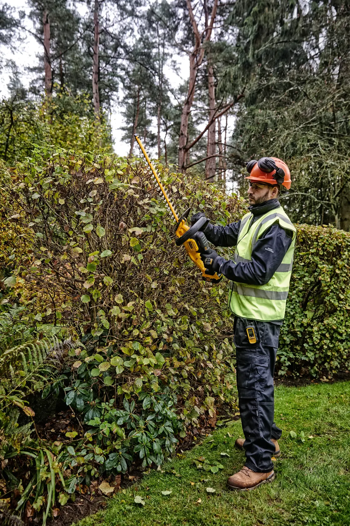 18V XR® 55cm Hedge Trimmer (25mm Blade Gap ) - Tool Only