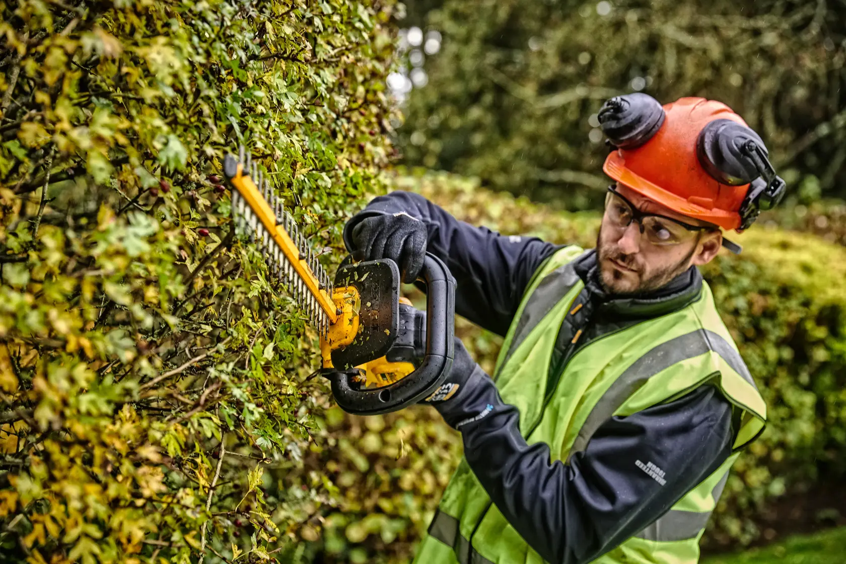 18V XR® 55cm Hedge Trimmer (25mm Blade Gap ) - Tool Only