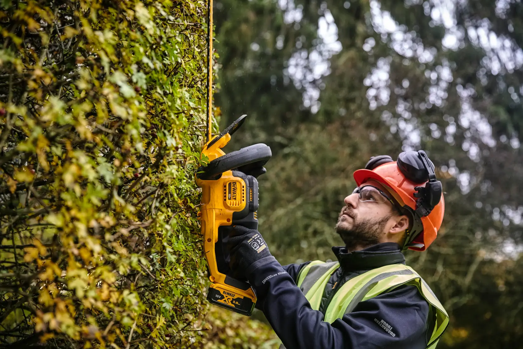 18V XR® 55cm Hedge Trimmer (25mm Blade Gap) - 1 x 5Ah