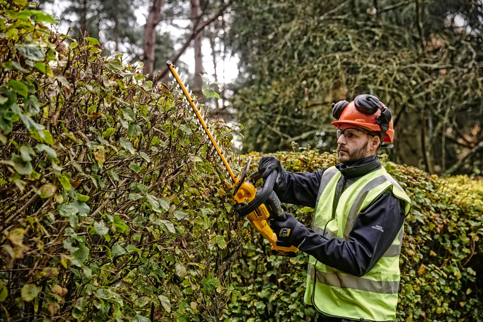 18V XR® 55cm Hedge Trimmer (25mm Blade Gap) - 1 x 5Ah