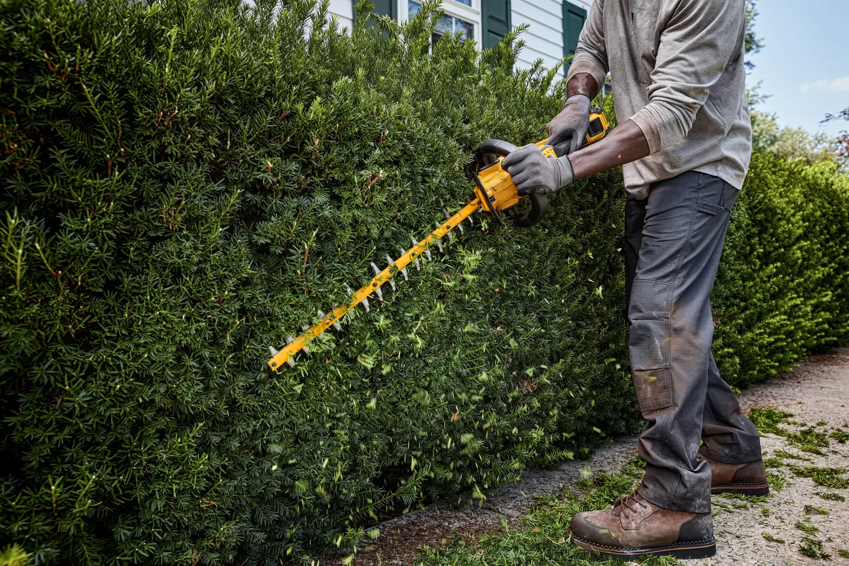 54v XR FLEXVOLT® Brushless 65 Cm Hedge Trimmer (31 mm Blade Gap) - Bare Tool Only