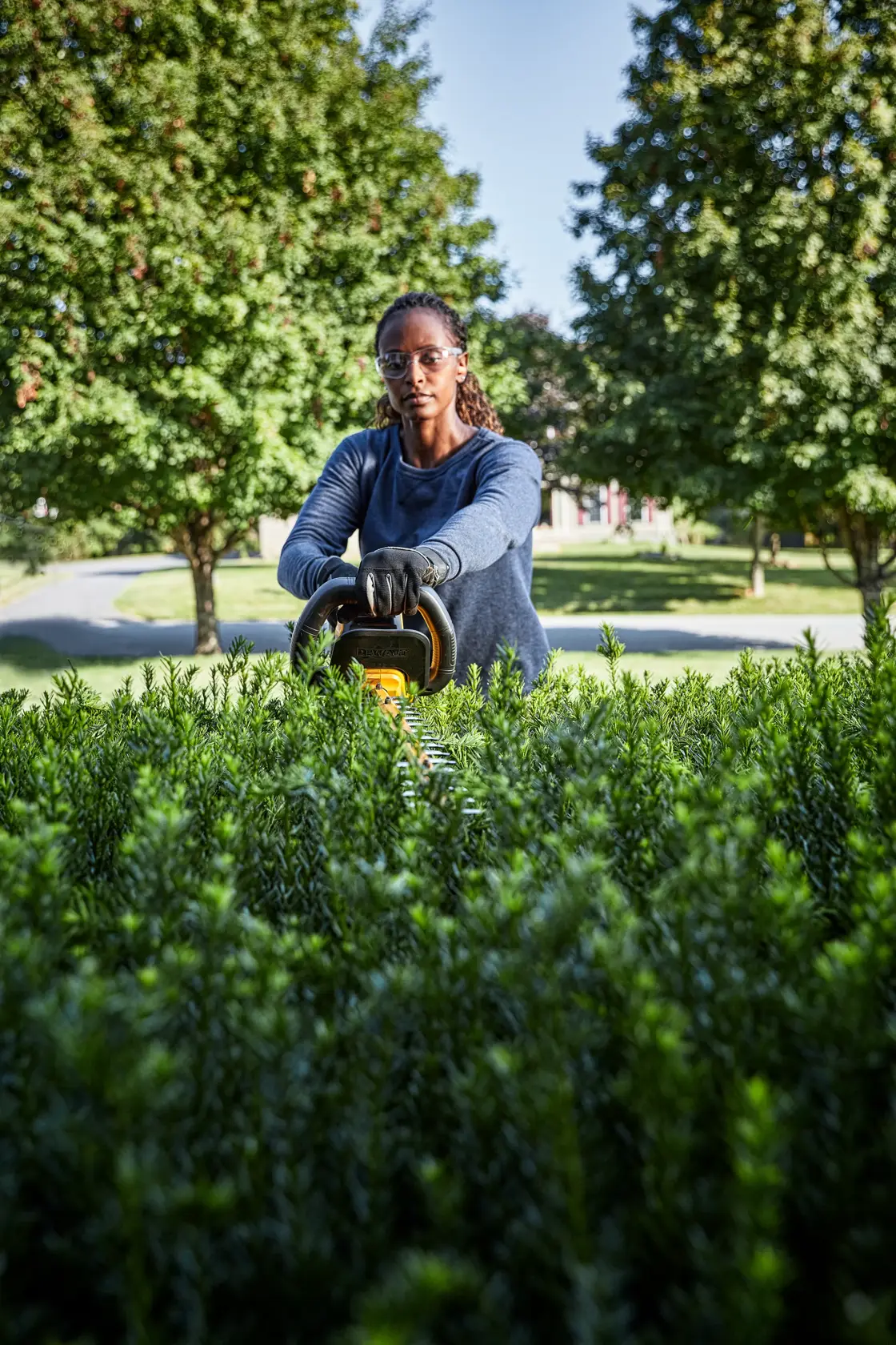 54v XR FLEXVOLT® Brushless 65 Cm Hedge Trimmer (31 mm Blade Gap) - Bare Tool Only