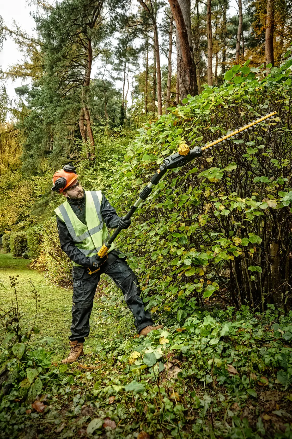 18V XR® 55 cm Pole Hedge Trimmer (25 mm Blade Gap) (Tool Only)