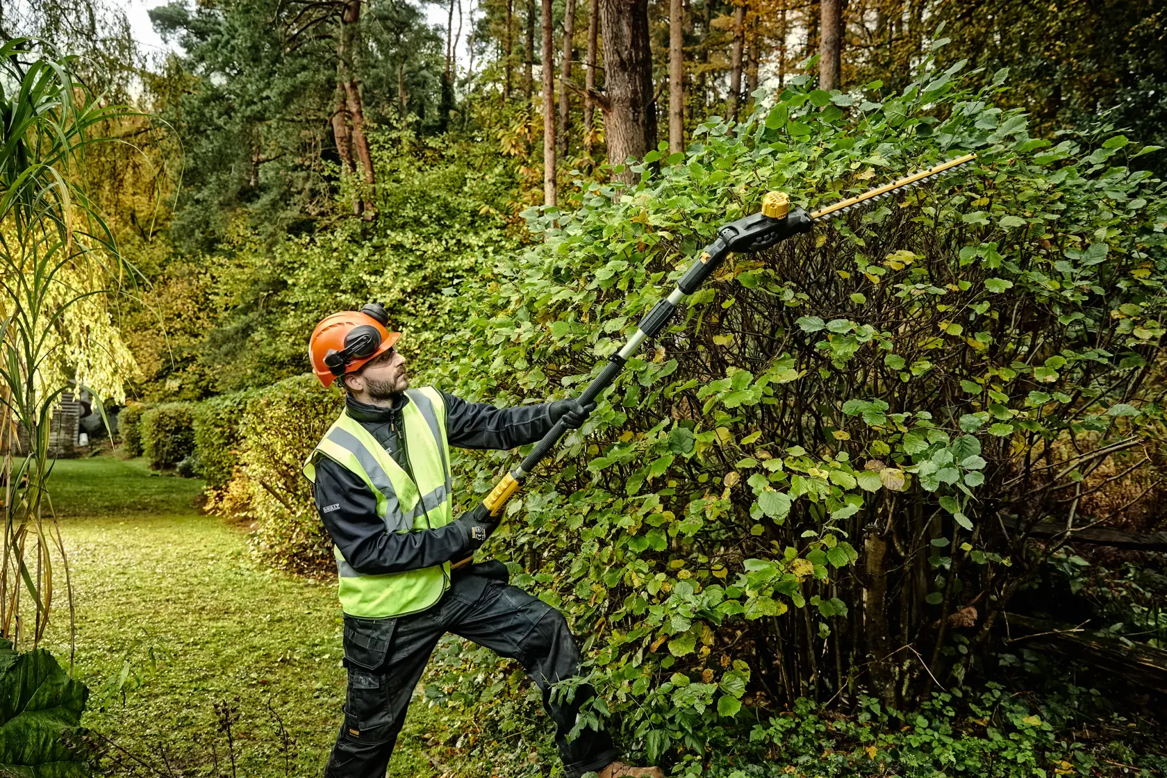 18V XR® 55 cm Pole Hedge Trimmer (25 mm Blade Gap) (Tool Only)