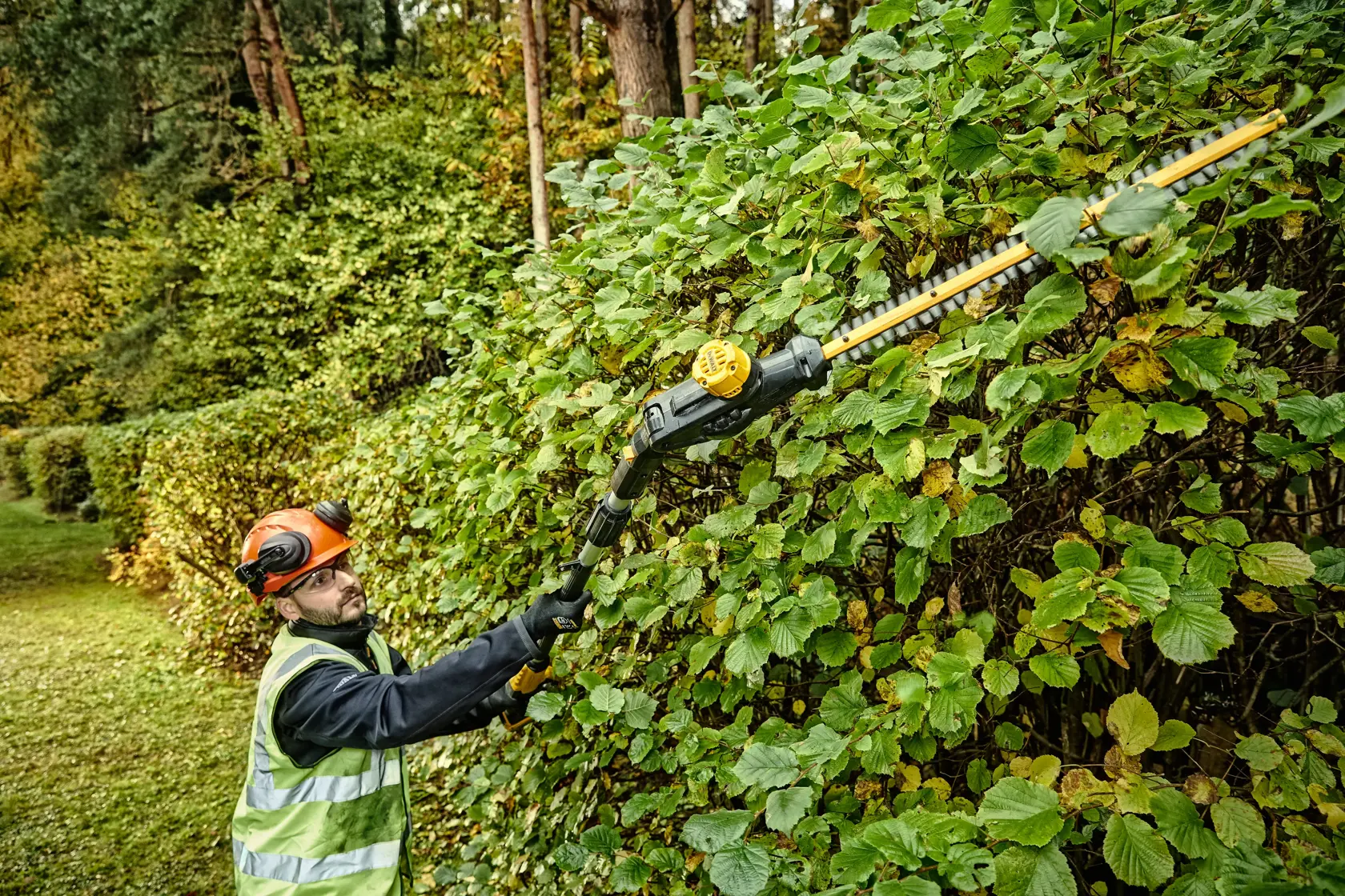 18V XR® Pole Hedge Trimmer - 1 x 5Ah