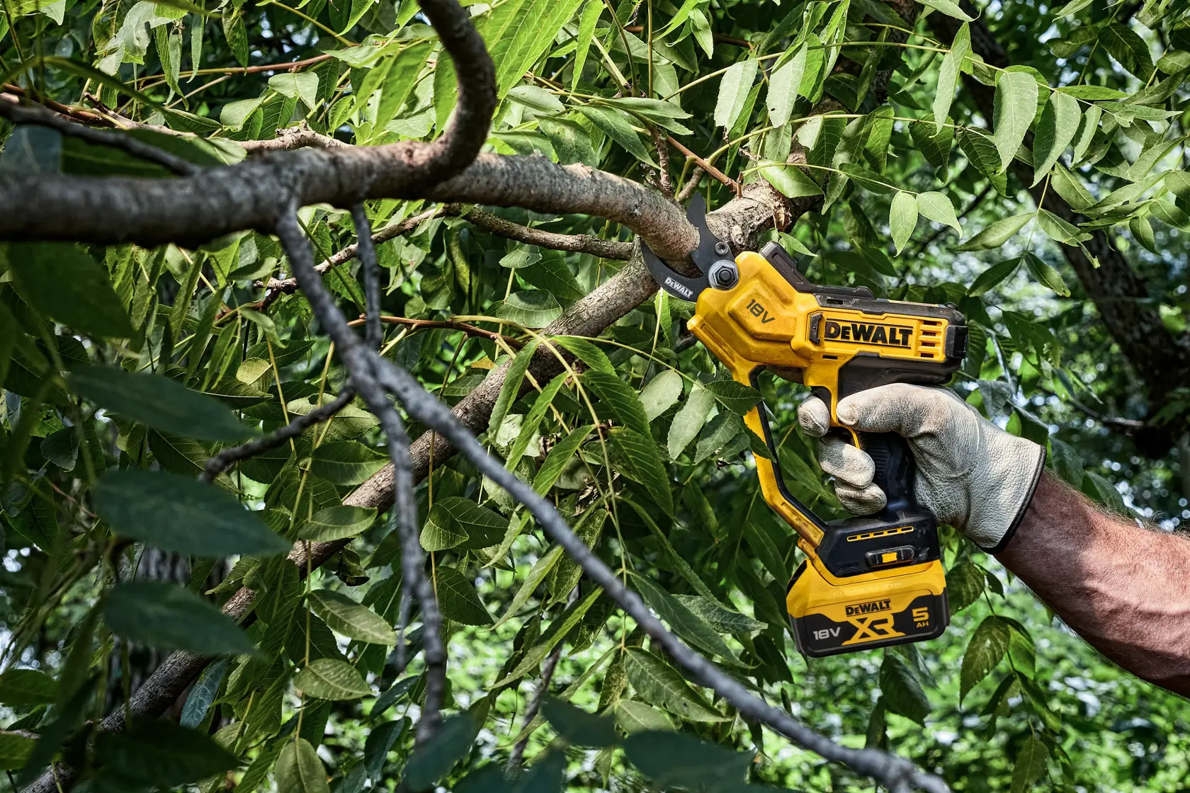 Person uses DEWALT cordless pruner to cut a tree branch outdoors amid green leaves.
