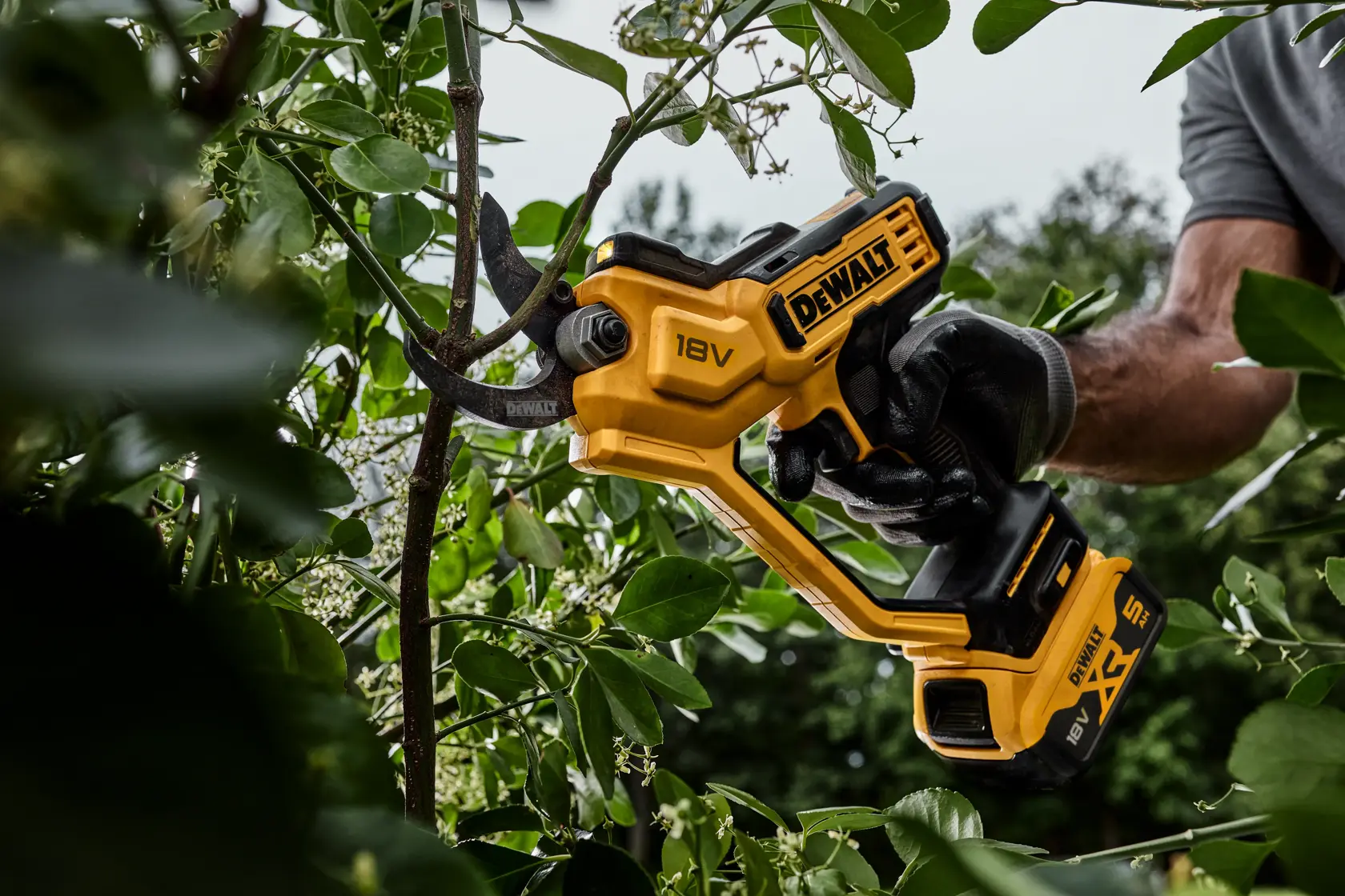 DEWALT 18V cordless pruner in use, cutting a tree branch outdoors with a gloved hand.