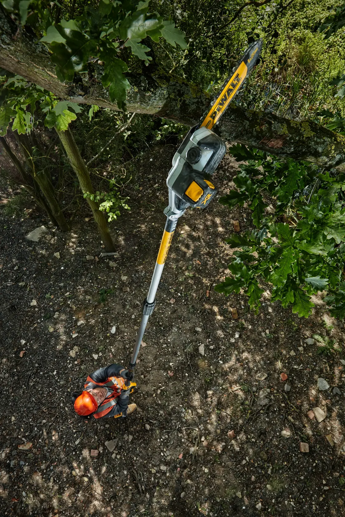 18V XR® Pole Saw (Tool Only)