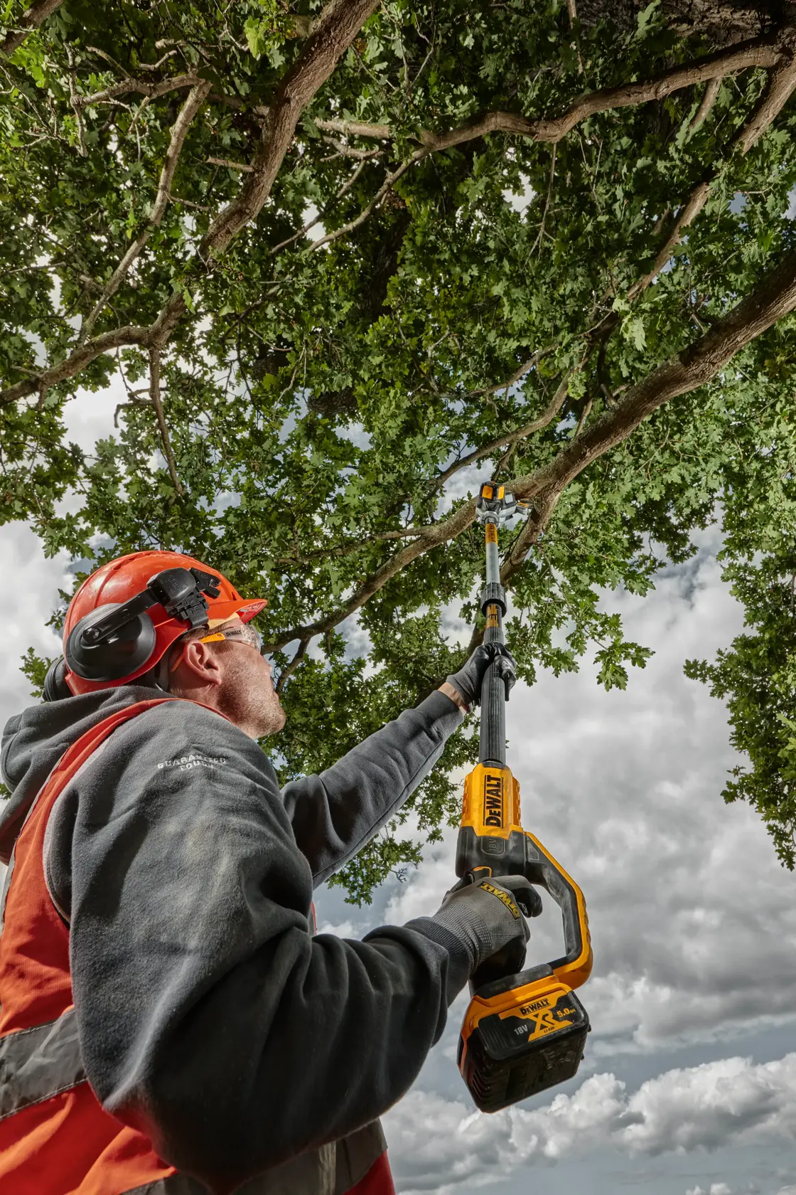 18V XR® Pole Saw - 1 x 5.0Ah