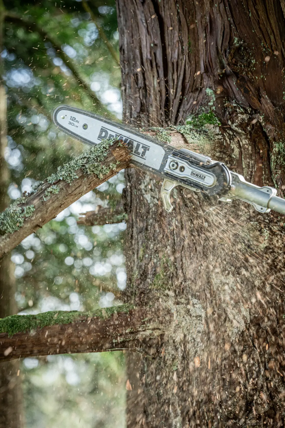 DEWALT pole saw cutting a tree branch outdoors, wood chips fly during operation.