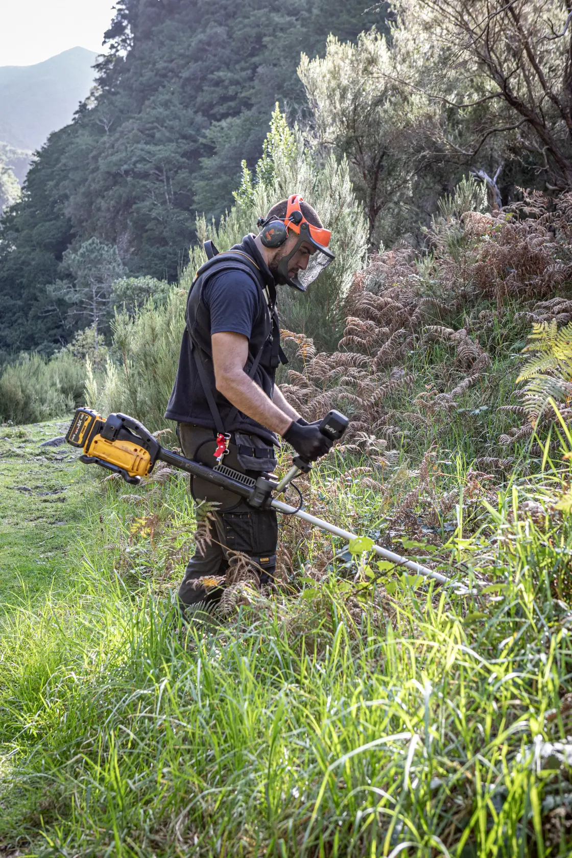 Person mit DEWALT DCMST922N, DCMST922N-XJ Trimmer im Freien, Produktkategorie Fotografie.