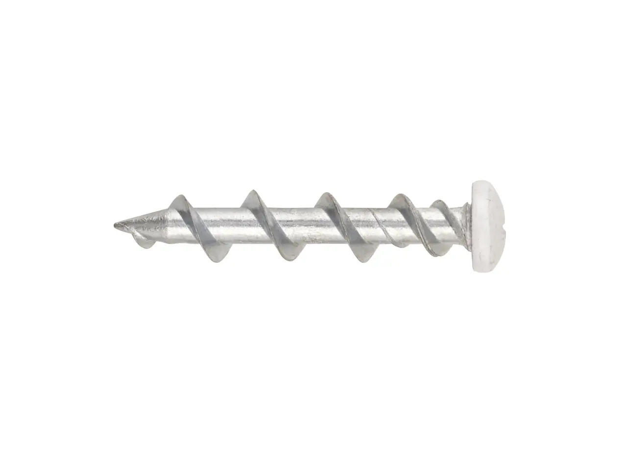 Wall Dog Pan Head (32 Mm) (white ) (10 Pk)